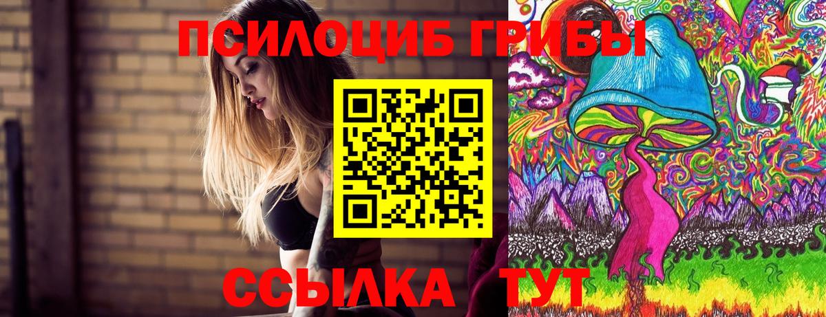 Галлюциногенные грибы мухоморы Кольчугино