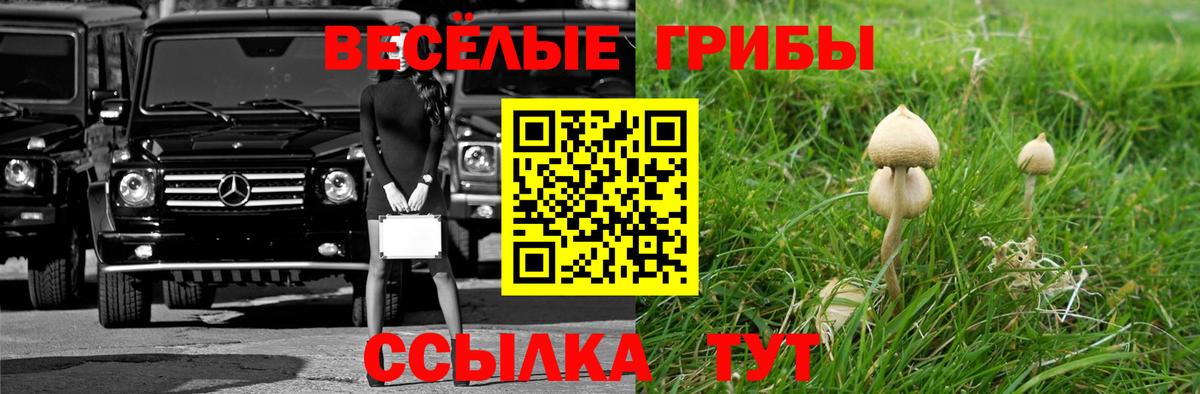 Кольчугино  Галлюциногенные грибы MAGIC MUSHROOMS  Галлюциногенные грибы Psilocybine cubensis  Вход с VPN 